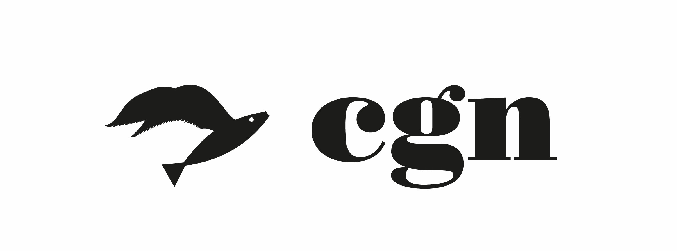 Servizi CGN